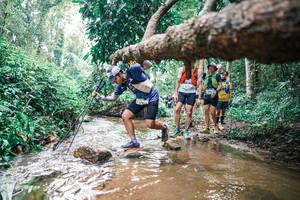 BIB: 
                            <button type="button" onclick="openModal(25374421)" class="btn btn-primary btn-sm float-right btn-popup" data-toggle="modal" data-target=".modal-high-quality">
                        <i class="fas fa-shopping-cart"></i> Add to Cart
                    </button>
                                            <button type="button" onclick="isThisMe(25374421, true)" class="btn btn-success btn-sm float-right btn-popup btn-isme hidden" data-toggle="tooltip" data-placement="bottom" title="นี่คือรูปของคุณใช่ไหม คลิกที่นี่เพื่อเอาเข้าอัลบั้ม">
                        <i class="fas fa-plus"></i> Add to album
                    </button>
                    <button type="button" onclick="isThisMe(25374421, false)" class="btn btn-warning btn-sm float-right btn-popup btn-isnotme hidden">
                        <i class="fas fa-ban"></i> Remove from album
                    </button>